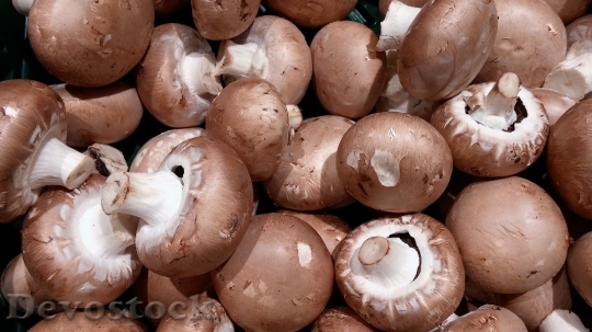 Devostock Mushrooms Mushroom Root Champignon