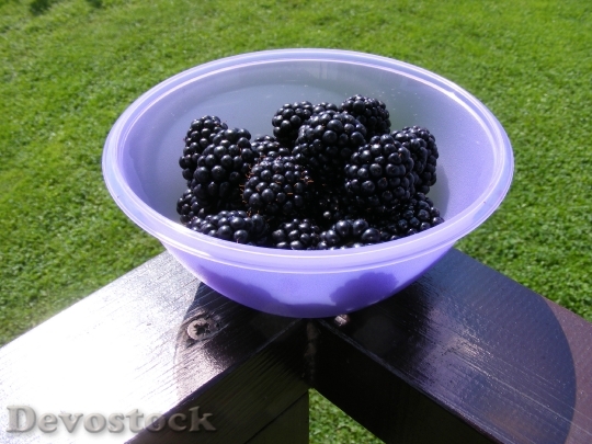 Devostock Nature Bowl Blackberries Fruit
