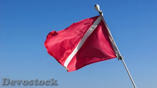 Devostock Naval Flag Signal Navy