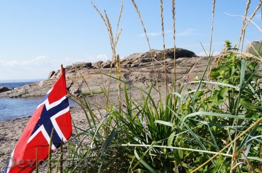 Devostock Norway Moss Flag Beach
