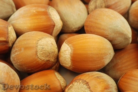 Devostock Nuts Hazelnuts Fruit Healthy 0