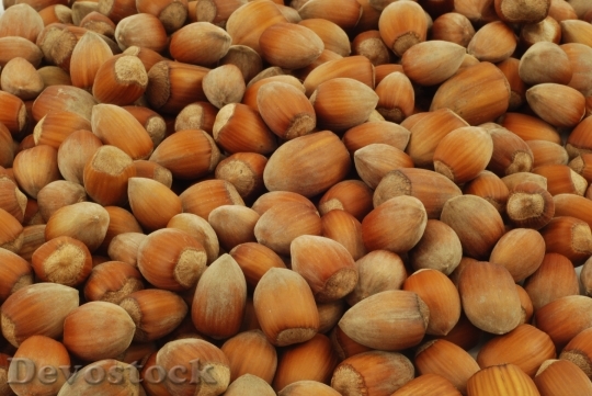 Devostock Nuts Hazelnuts Fruit Healthy