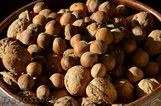 Devostock Nuts Hazelnuts Walnuts Autumn