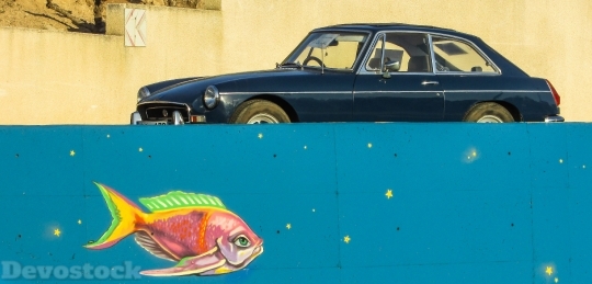Devostock Old Car Fish Fantasy