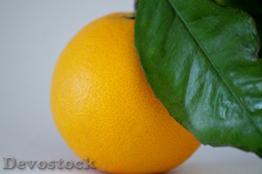Devostock Orange Branch Vitamin C 0