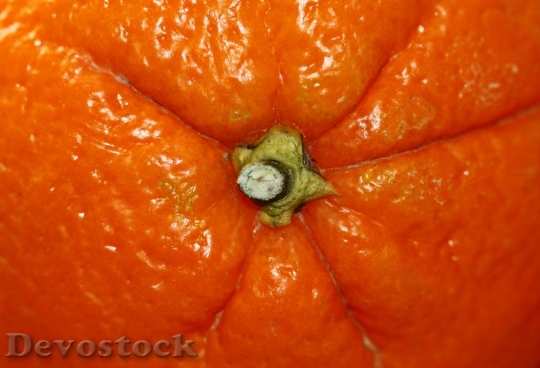 Devostock Orange Fruit Citrus Fruit 2