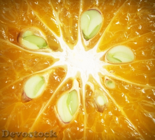Devostock Orange Fruit Slice White 2
