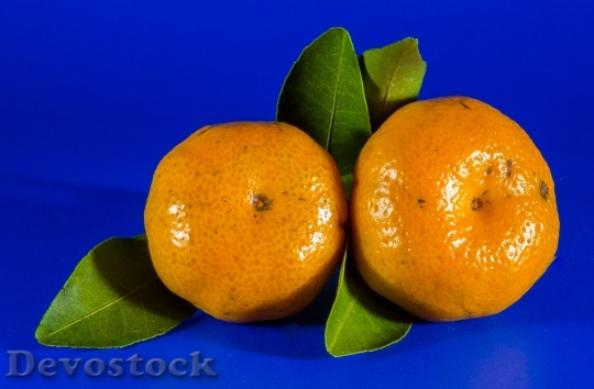 Devostock Orange Mandarin Citrus Fruit 1