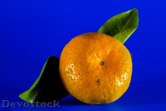 Devostock Orange Mandarin Citrus Fruit 2