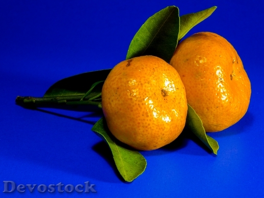 Devostock Orange Mandarin Citrus Fruit