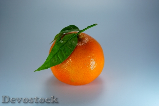 Devostock Orange Mandarin Clementine 795632