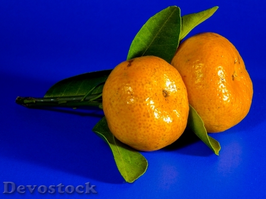 Devostock Orange Mandarin Fruit Citrus 10