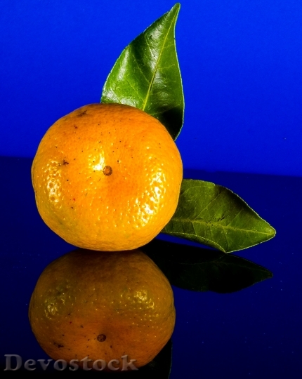 Devostock Orange Mandarin Fruit Citrus 5