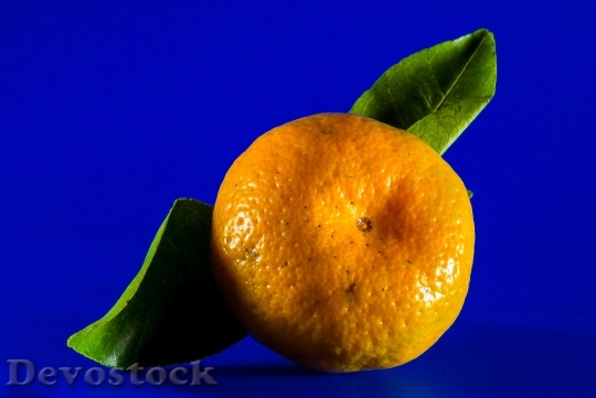 Devostock Orange Mandarin Fruit Citrus 7