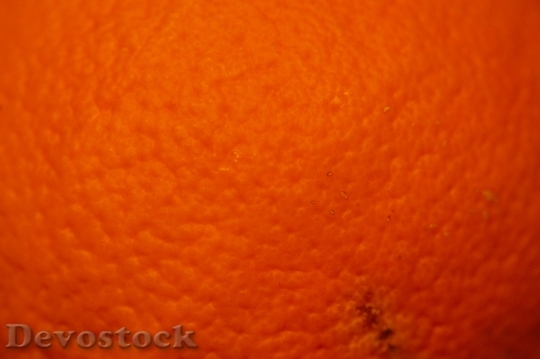 Devostock Orange Orange Peel Fruit