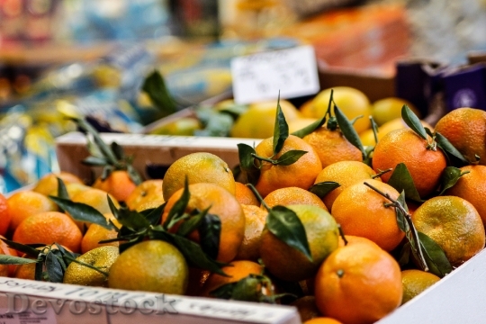 Devostock Oranges Citrus Fruits Fruit