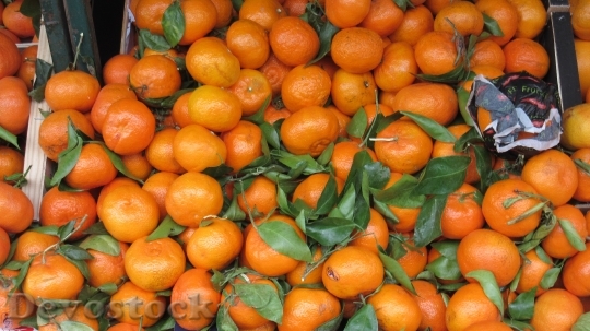 Devostock Oranges Fruits Leaves Citrus