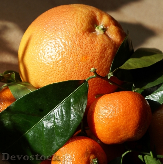 Devostock Oranges Mandarins Southern Fruits