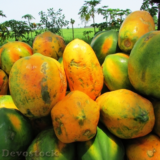 Devostock Papaya Fruit Ripe Tropical
