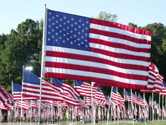 Devostock Patriotic Flags 911236