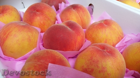 Devostock Peach Ecliptic Fruit 415370