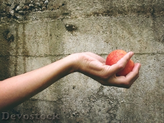 Devostock Peach Fruit Hand Give