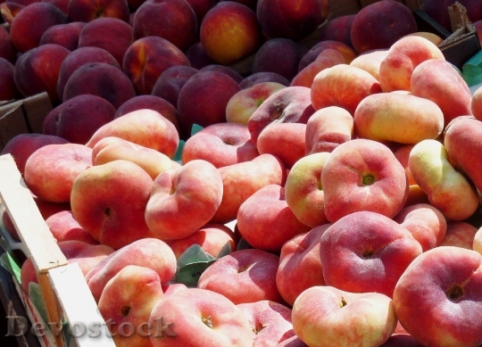 Devostock Peach Vineyard Peach Fruit
