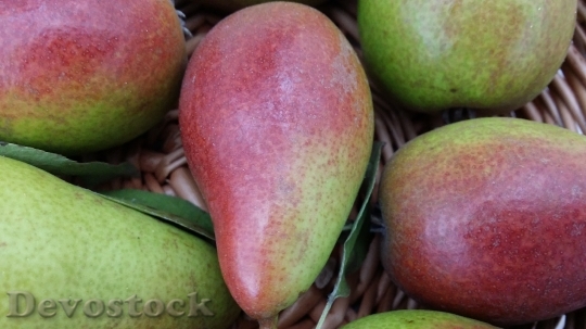 Devostock Pear Fruit Closeup 1701352