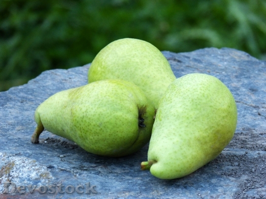 Devostock Pears Orchard Fruit Still