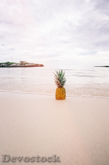 Devostock Pineapple Beach Sand Seaside
