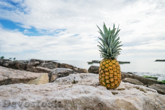Devostock Pineapple Beach Tropical Summer