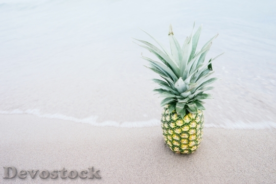 Devostock Pineapple Fruit Beach Tropical