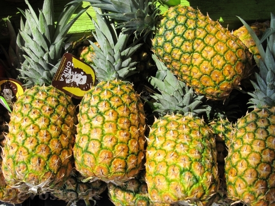 Devostock Pineapples Farmers Market Produce