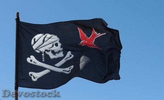 Devostock Pirate Flag Skull Black