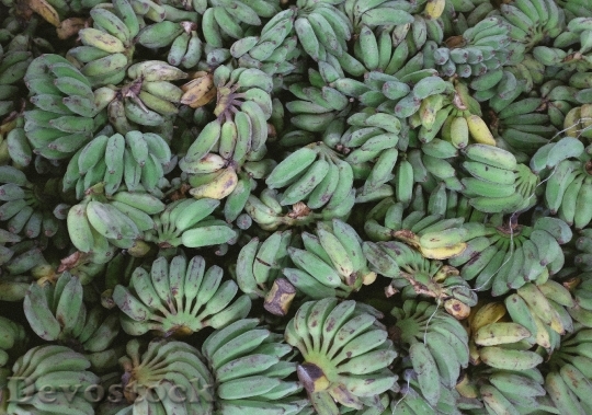 Devostock Plantains Bananas Fruits Food