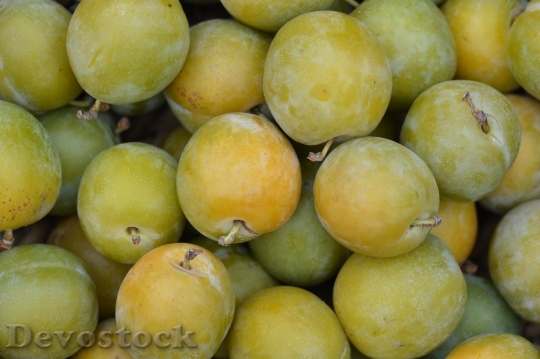 Devostock Plums Reine Claude Fruit