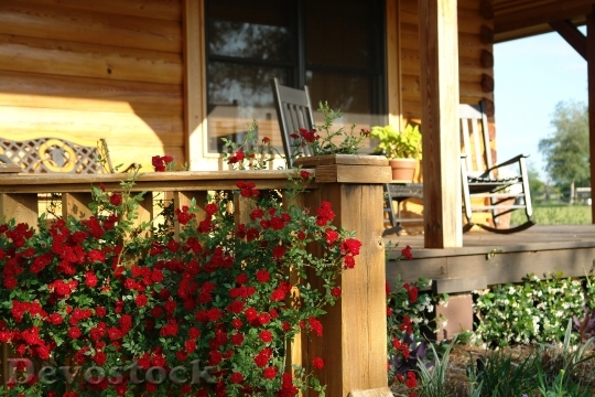 Devostock Porch Farm Roses House