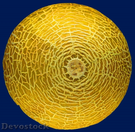 Devostock Power Melon Fruit Texture