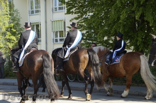 Devostock Procession Equestrian Procession 1377739