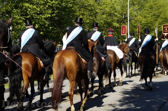 Devostock Procession Equestrian Procession 1377749