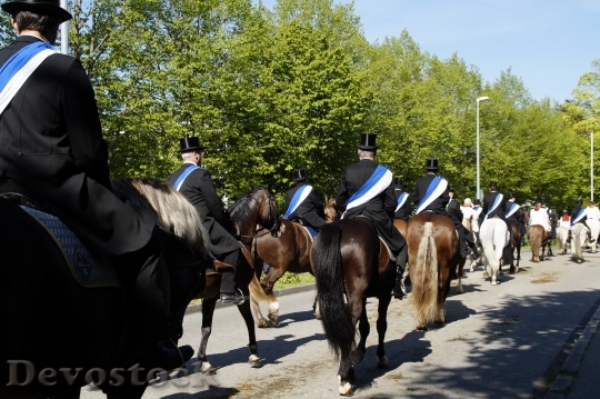 Devostock Procession Equestrian Procession 1377759