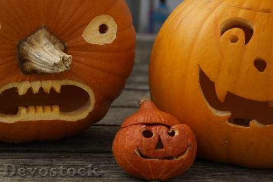 Devostock Pumpkins Three Halloween Family 1