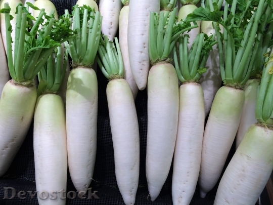 Devostock Radish Vegetables Seiyu Ltd