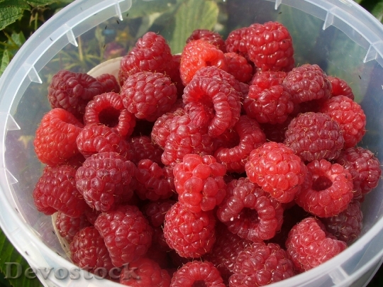 Devostock Raspberries Fruit Fresh Berry