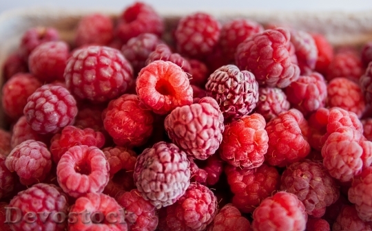Devostock Raspberries Red Berries Sweet 0