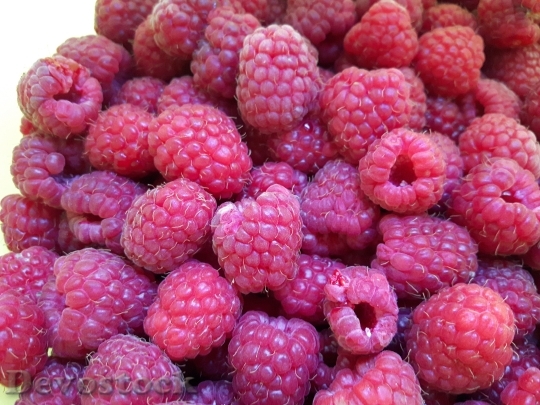 Devostock Raspberry Fruit Fruits 1504578