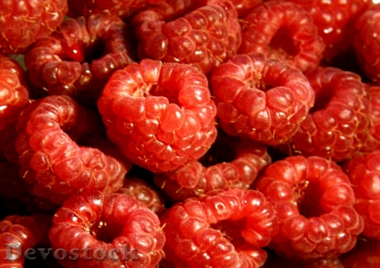 Devostock Raspberry Fruit Pie Raspberry