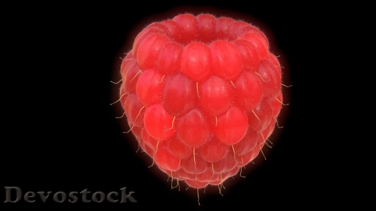 Devostock Raspberry Fruit Red Large