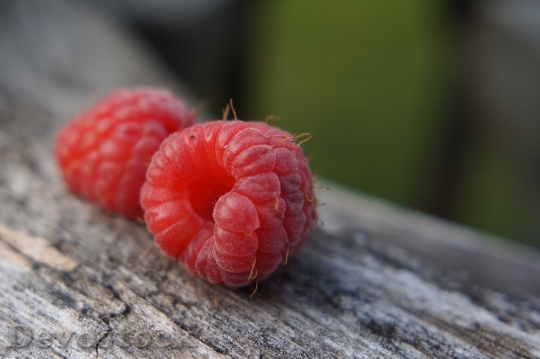 Devostock Raspberry Fruit Red Summer