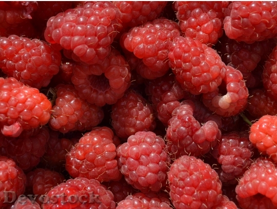 Devostock Raspberry Fruit Sweet Fresh